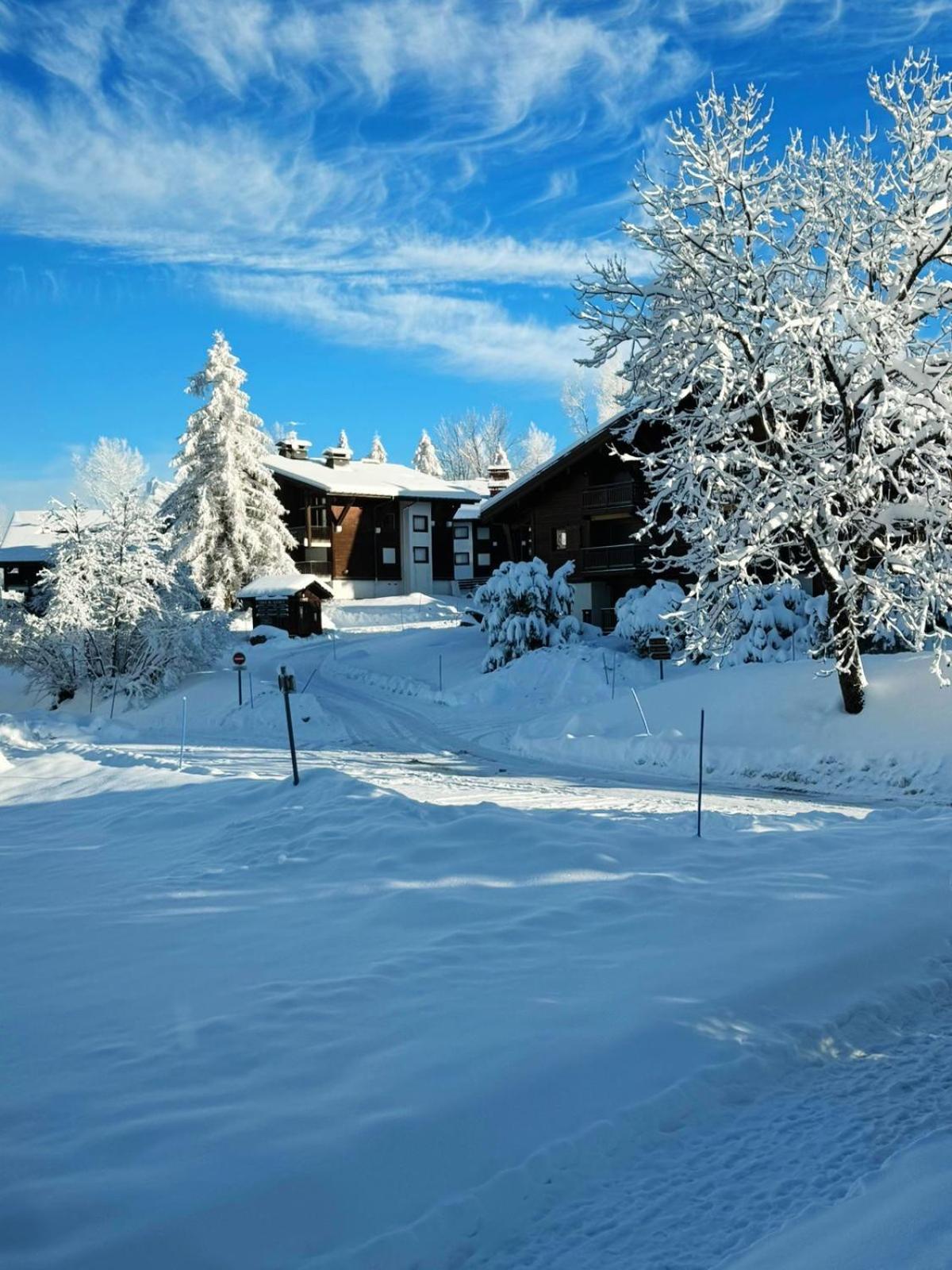 Le Flocon Du Mont Darbois Classe 3 Etoiles Megève Zewnętrze zdjęcie